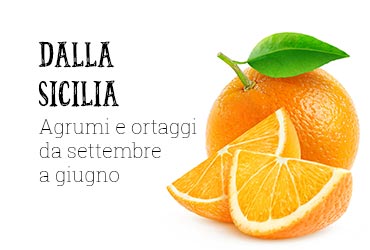 Dalla Sicilia agrumi e ortaggi da settembre a giugno